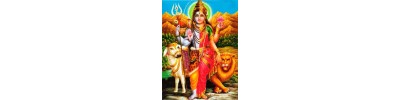 பவழகிரீஸ்வரர் 